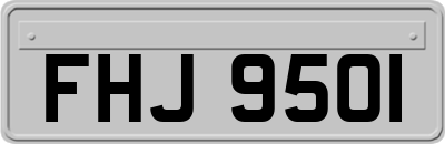 FHJ9501