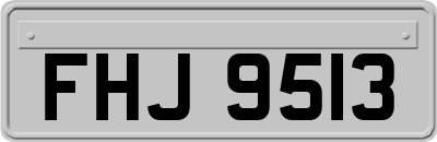 FHJ9513