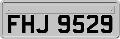 FHJ9529