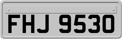 FHJ9530