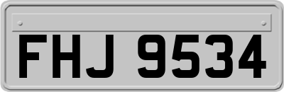 FHJ9534