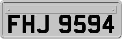 FHJ9594