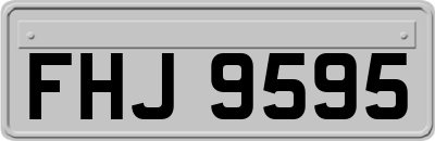 FHJ9595