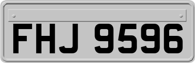 FHJ9596