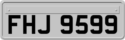 FHJ9599