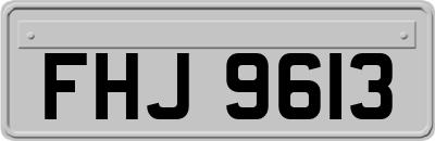 FHJ9613