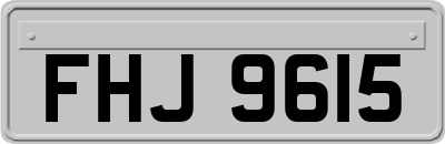 FHJ9615