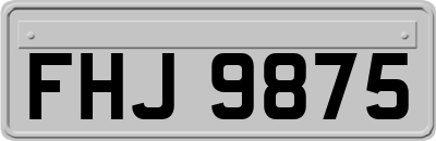 FHJ9875