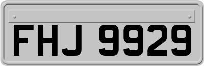 FHJ9929