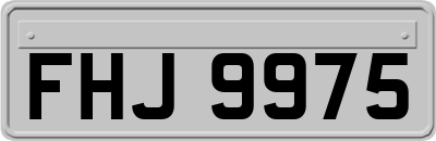 FHJ9975
