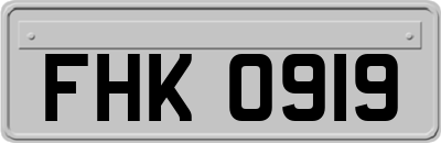 FHK0919