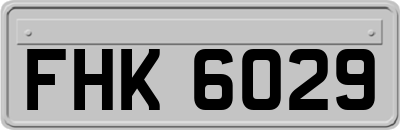 FHK6029