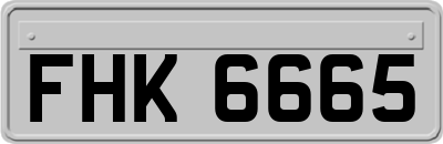 FHK6665