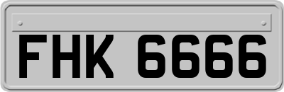 FHK6666