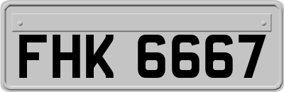 FHK6667