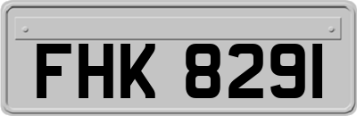 FHK8291