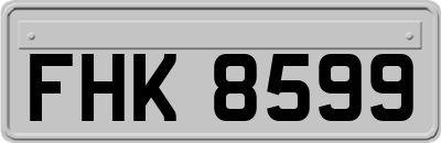 FHK8599