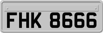 FHK8666