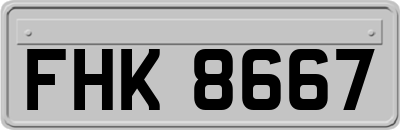 FHK8667