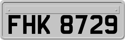 FHK8729