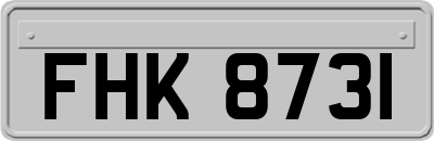 FHK8731