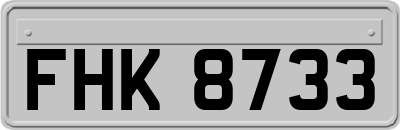 FHK8733