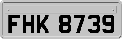 FHK8739