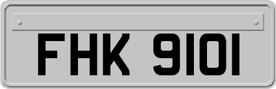 FHK9101