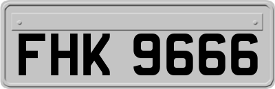 FHK9666