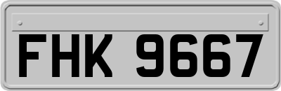 FHK9667