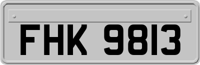 FHK9813