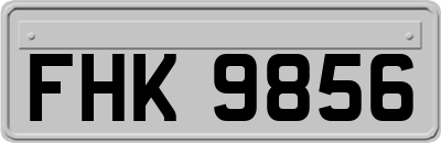 FHK9856