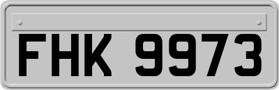 FHK9973