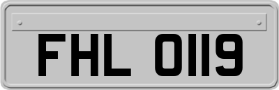 FHL0119