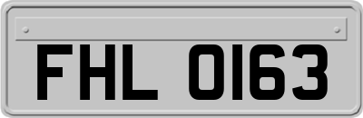 FHL0163