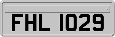 FHL1029