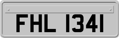 FHL1341