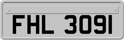 FHL3091