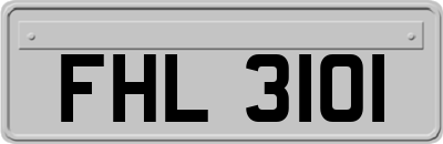FHL3101