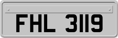 FHL3119