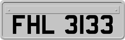 FHL3133