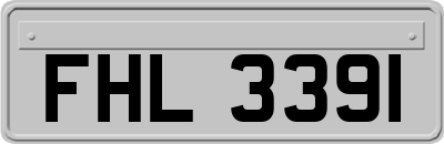 FHL3391