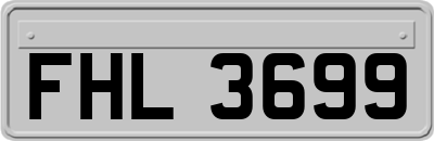 FHL3699