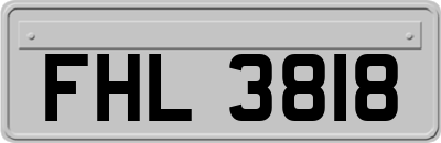 FHL3818