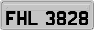 FHL3828
