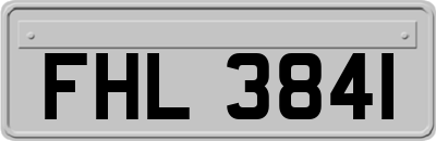 FHL3841