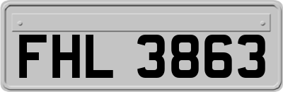 FHL3863