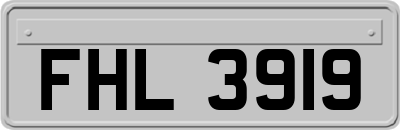 FHL3919