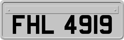 FHL4919