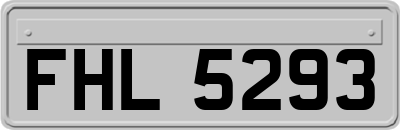 FHL5293